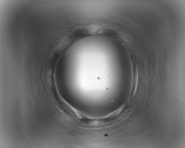 X0000064730319200602101156