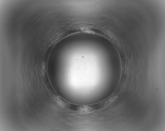 X0000064730321200602101156