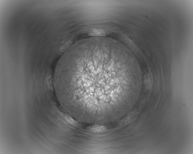 X0000064730322200602101156