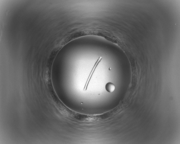 X0000064730323200602101156