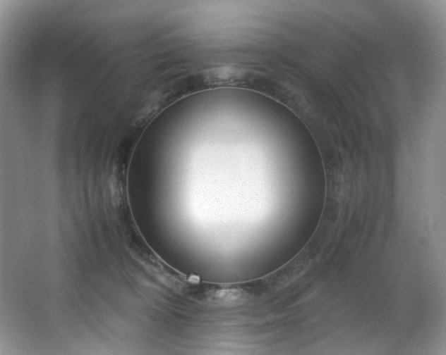 X0000064730324200602101156