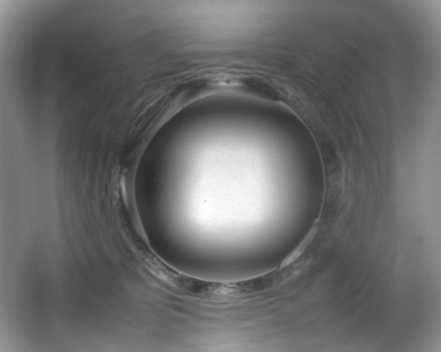 X0000064730325200602101156