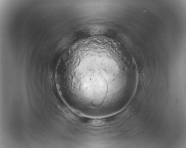 X0000064730327200602101156