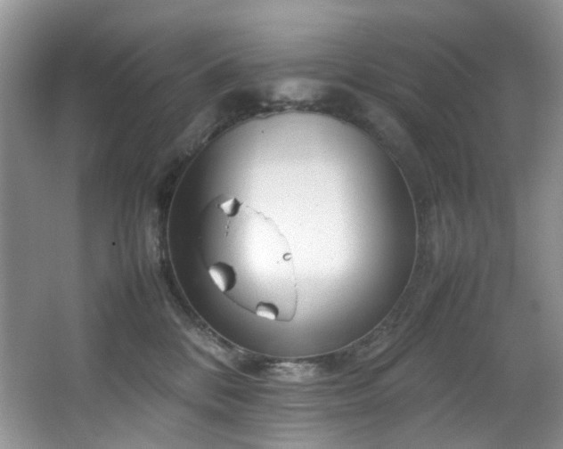 X0000064730328200602101156