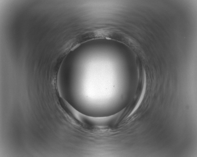 X0000064730329200602101156