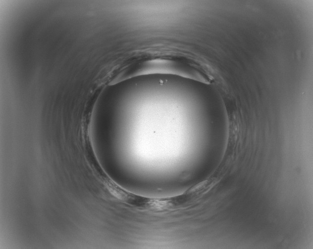 X0000064730333200602101156