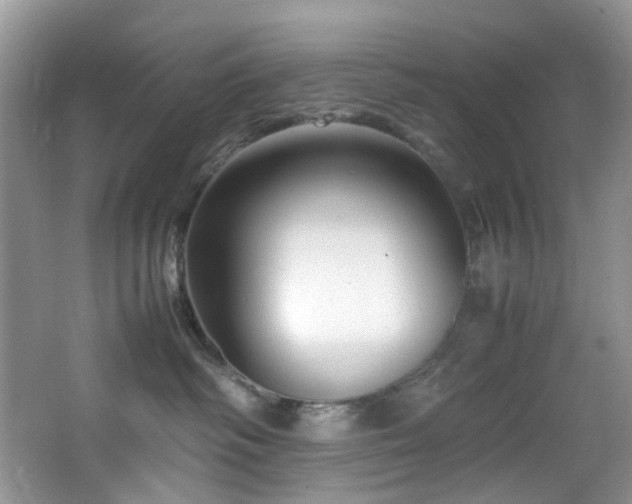 X0000064730334200602101156