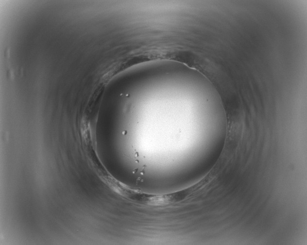 X0000064730335200602101156