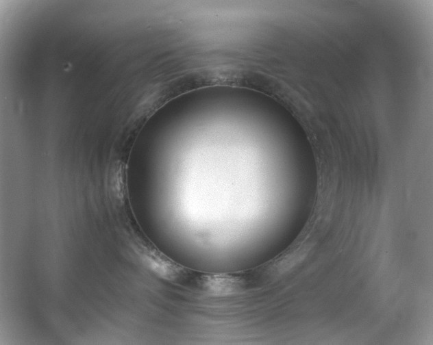 X0000064730336200602101156