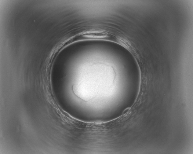 X0000064730337200602101155