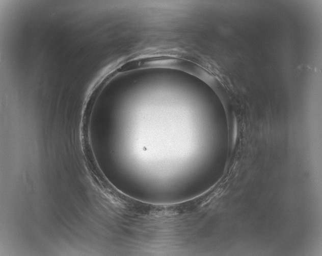 X0000064730340200602101155