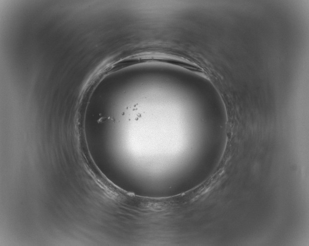 X0000064730341200602101155