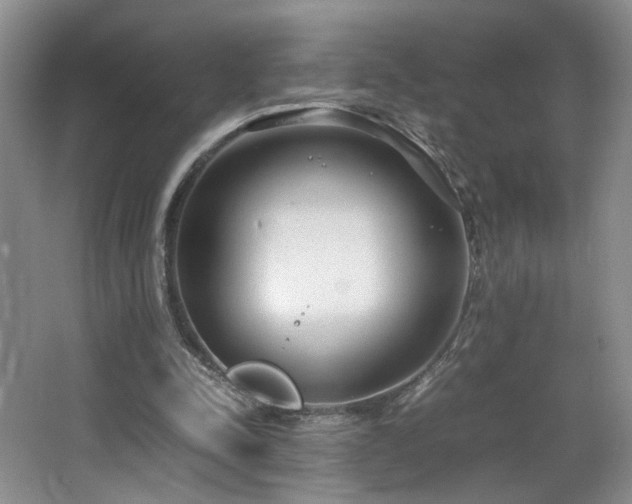 X0000064730342200602101155