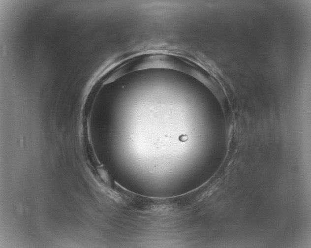 X0000064730344200602101155