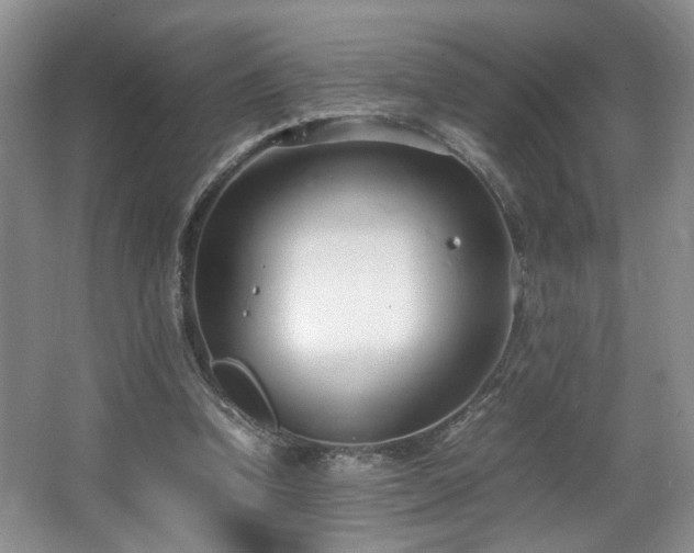 X0000064730346200602101155