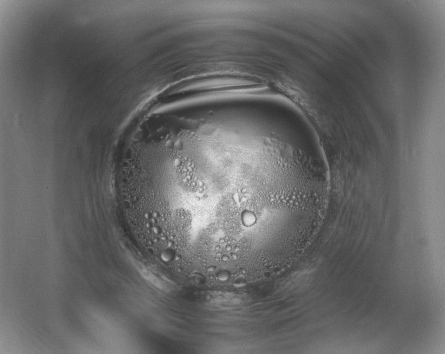 X0000064730347200602101155