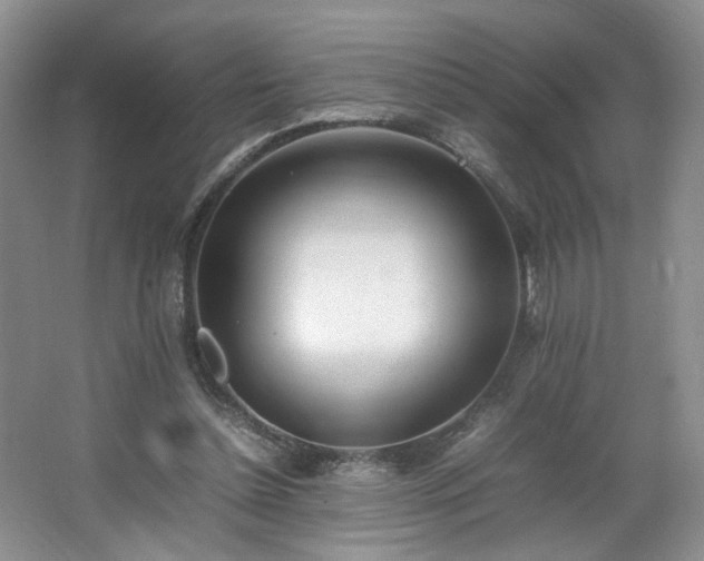 X0000064730348200602101155