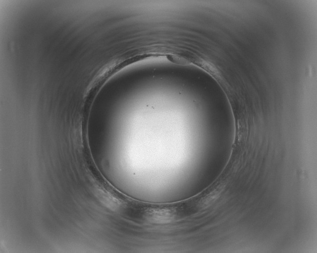 X0000064730349200602101155