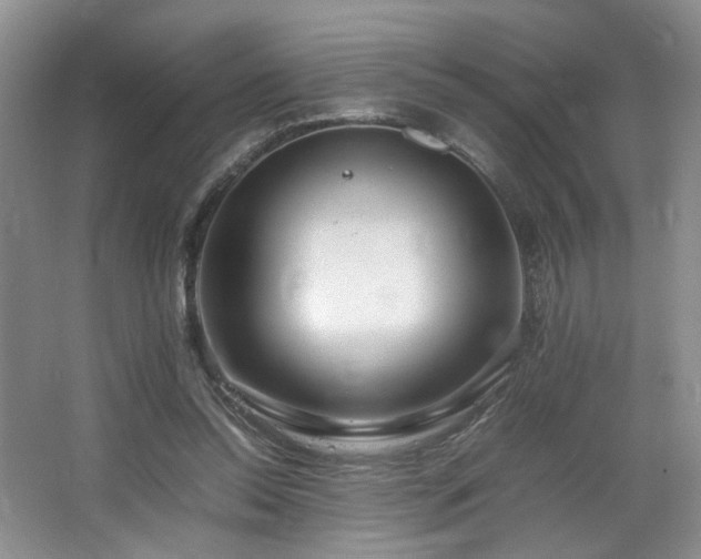 X0000064730350200602101155