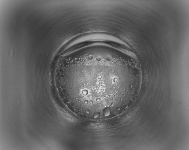 X0000064730351200602101155