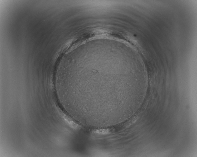 X0000064730353200602101156