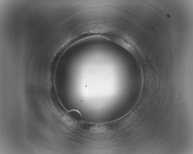 X0000064730354200602101156