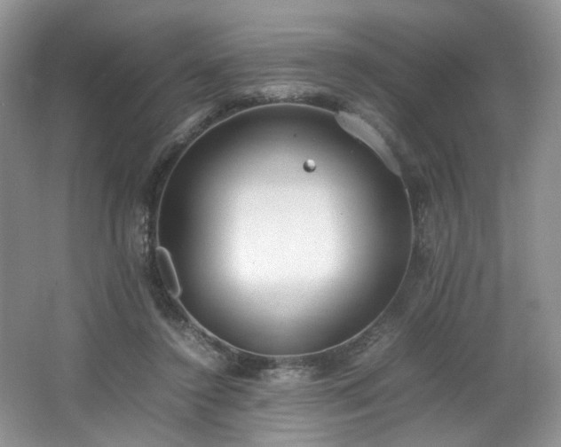 X0000064730356200602101156