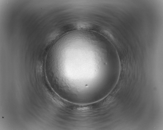 X0000064730357200602101156