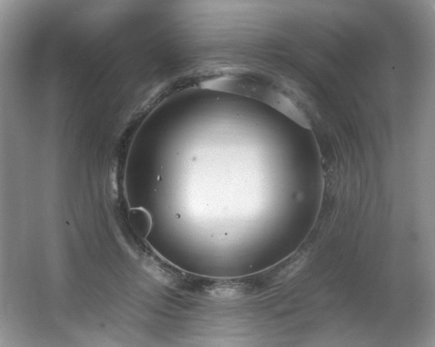 X0000064730358200602101156