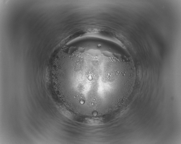 X0000064730359200602101156