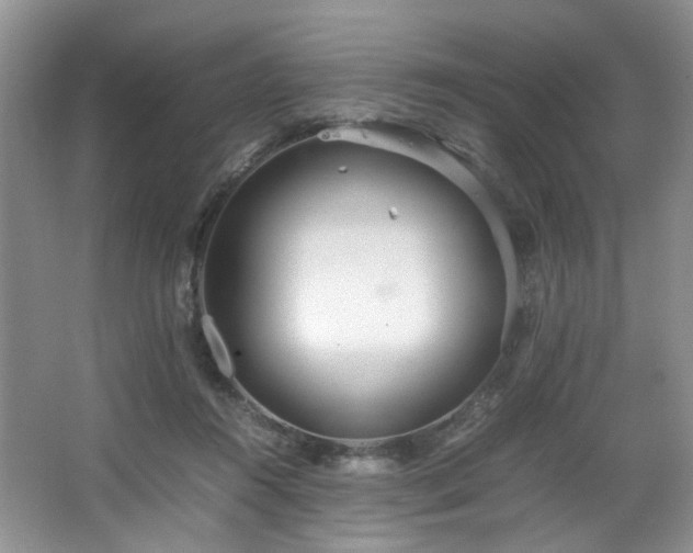 X0000064730360200602101156