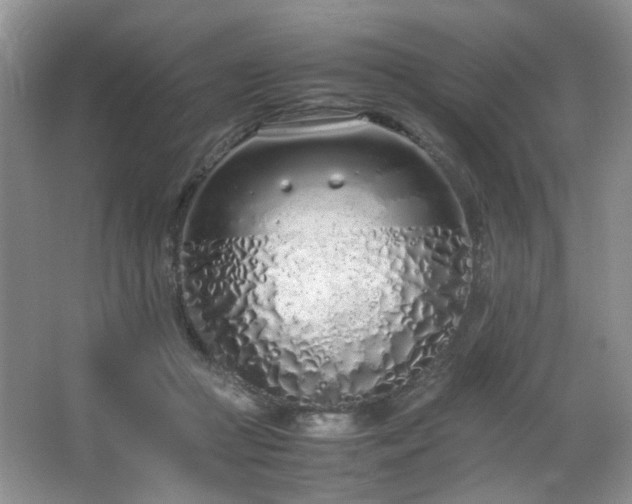 X0000064730361200602101156