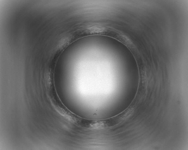 X0000064730362200602101156