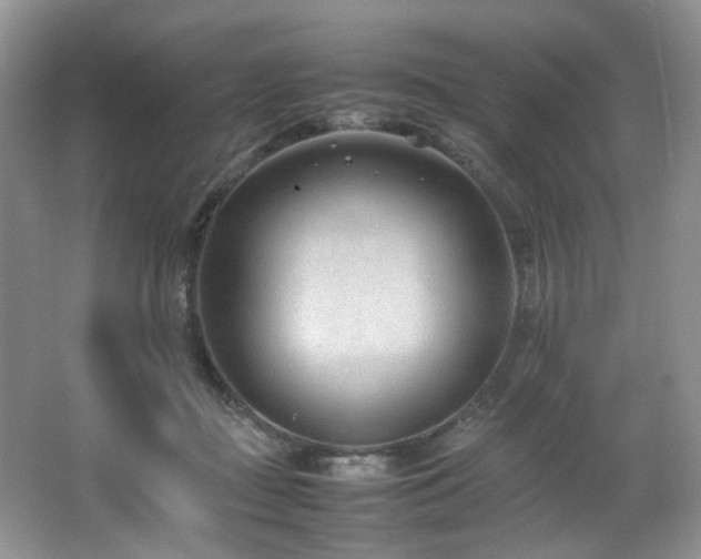 X0000064730363200602101156