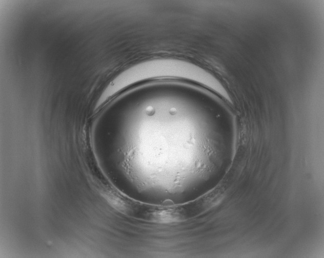 X0000064730365200602101156