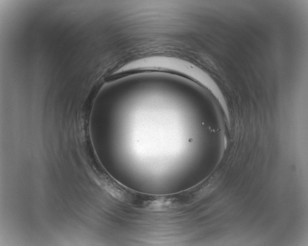 X0000064730366200602101156