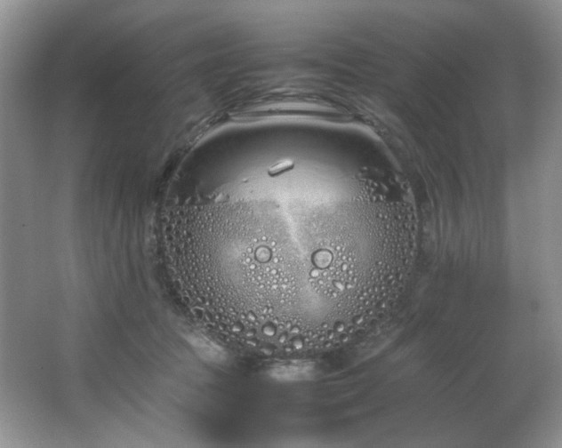 X0000064730369200602101156