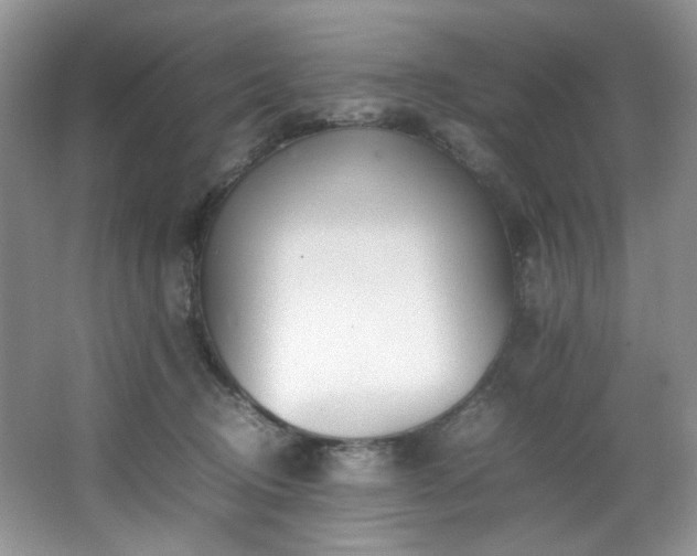 X0000064730370200602101156