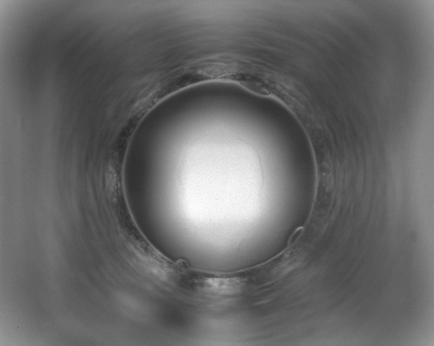 X0000064730371200602101156