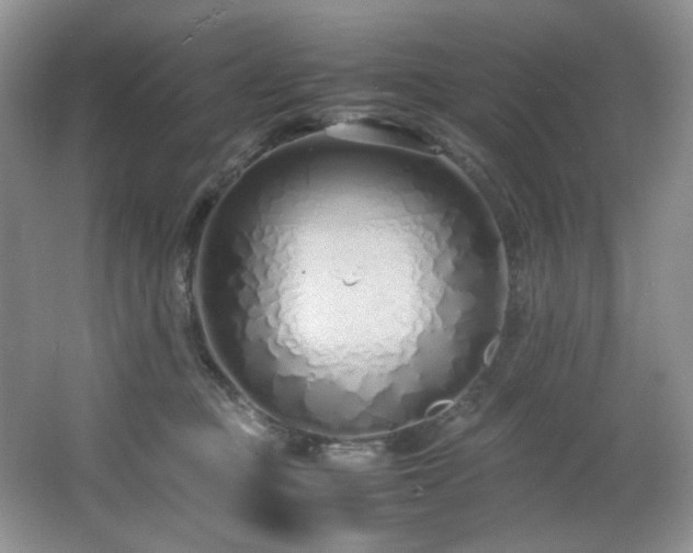 X0000064730373200602101156