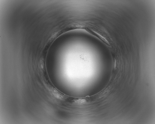 X0000064730374200602101156