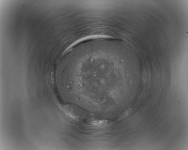 X0000064730375200602101156