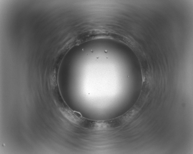 X0000064730376200602101156