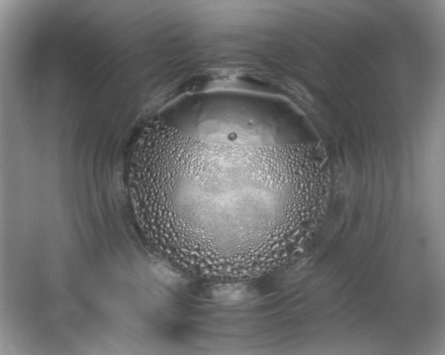 X0000064730377200602101156