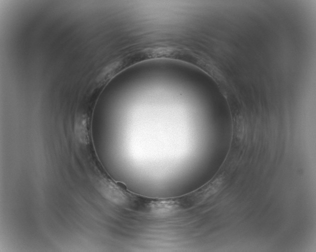 X0000064730378200602101156