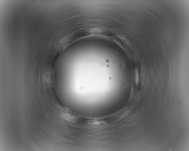 X0000064730379200602101156