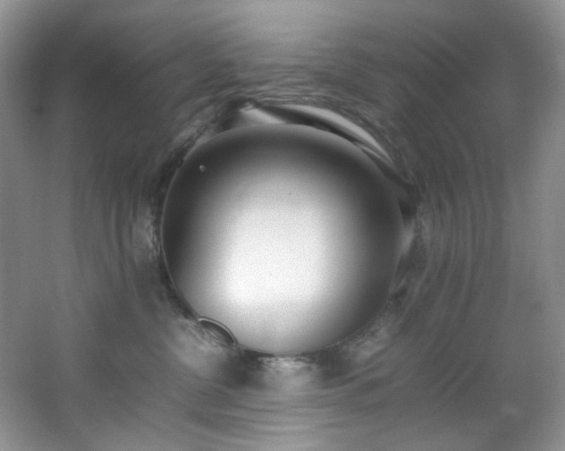 X0000064730380200602101156