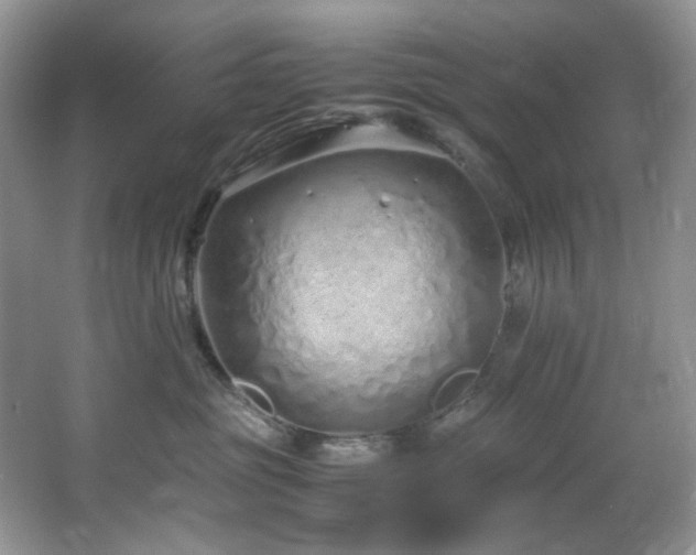 X0000064730381200602101156