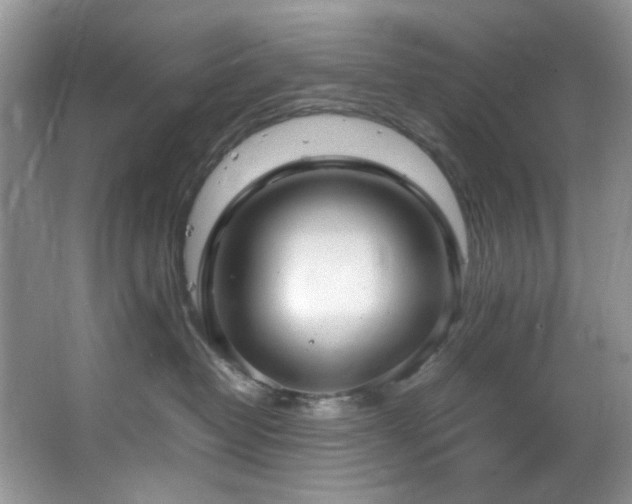 X0000064730382200602101156