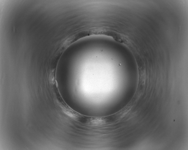 X0000064730383200602101156